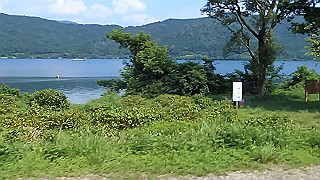 p7300596_x264.mp4_thumb.jpg