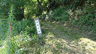 p7300598_thumb.jpg