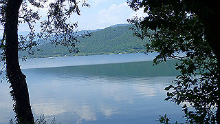 p7300599_thumb.jpg