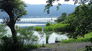 p7300619_thumb.jpg