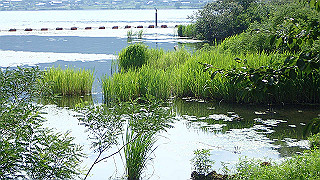 p7300620_thumb.jpg