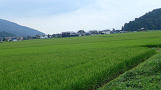 p7300643_thumb.jpg