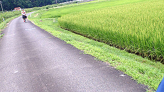 p7300645_thumb.jpg