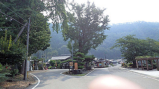 p7310694_thumb.jpg