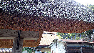 p7310711_thumb.jpg