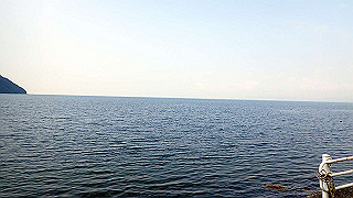 p7310720_thumb.jpg