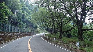 p7310736_thumb.jpg