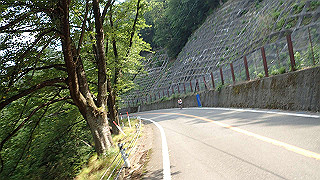 p7310741_thumb.jpg
