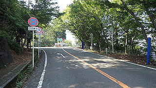 p7310742_thumb.jpg