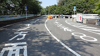 p7310770_thumb.jpg