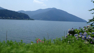 p7310785_thumb.jpg