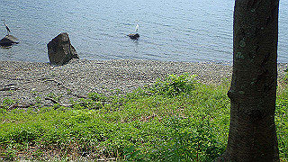 p7310789_thumb.jpg