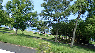 p7310815_thumb.jpg