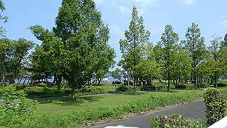 p7310816_thumb.jpg