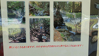 p8050481_thumb.jpg