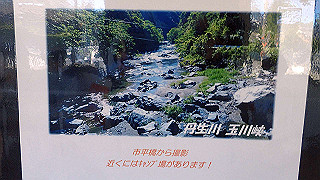 p8050482_thumb.jpg
