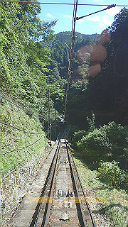 p8050490_thumb.jpg