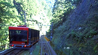 p8050491.mov_thumb.jpg