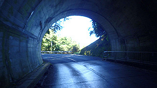p8050500_thumb.jpg
