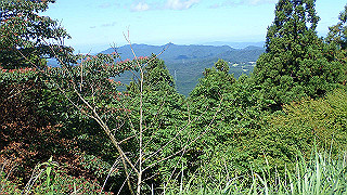 p8050501_thumb.jpg