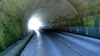 p8050505_thumb.jpg