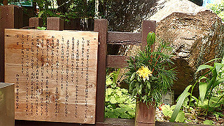 p8050529_thumb.jpg