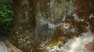 p8050542_thumb.jpg