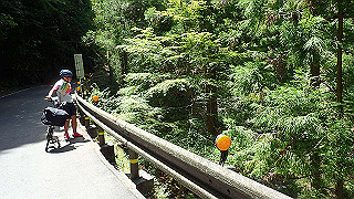 p8050543_thumb.jpg