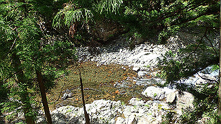 p8050544_thumb.jpg