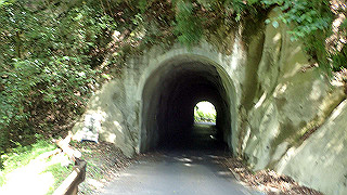 p8050545_thumb.jpg