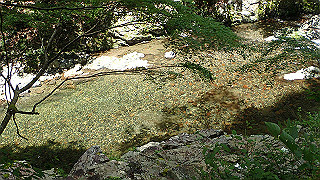 p8050547_thumb.jpg