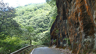 p8050550_thumb.jpg