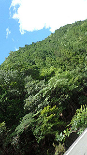 p8050561_thumb.jpg