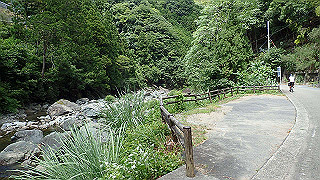 p8050567_thumb.jpg