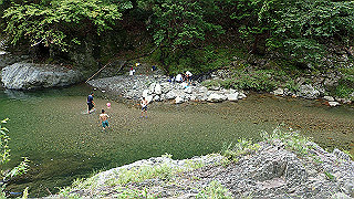 p8050569_thumb.jpg