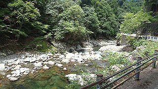 p8050571_thumb.jpg