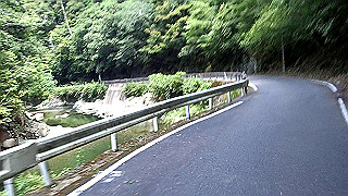 p8050572.mov_thumb.jpg