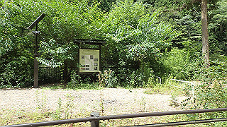 p8050574_thumb.jpg