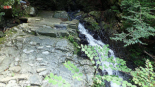 p8050577_thumb.jpg