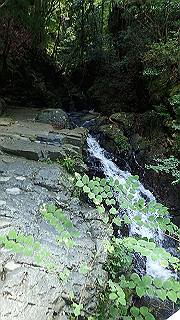 p8050578_thumb.jpg