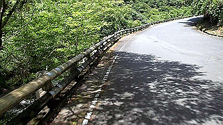 p8050579.mov_thumb.jpg