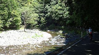 p8050590_thumb.jpg