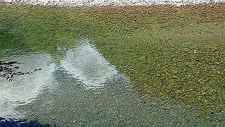 p8050591_thumb.jpg