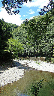 p8050592_thumb.jpg