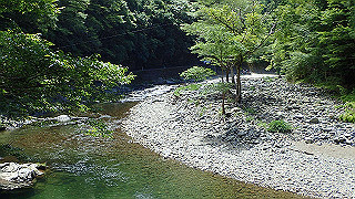 p8050593_thumb.jpg