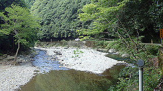 p8050594_thumb.jpg