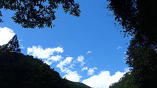 p8050596_thumb.jpg