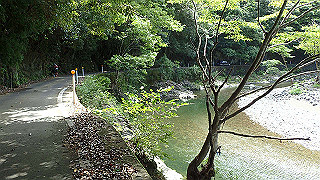 p8050597_thumb.jpg