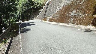 p8050600_thumb.jpg