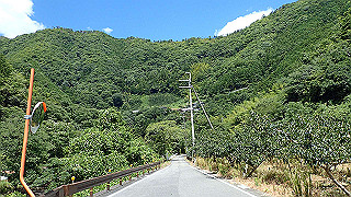 p8050606_thumb.jpg